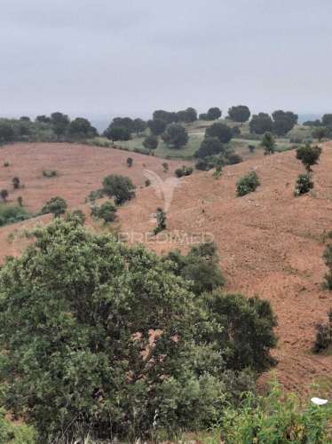 Terreno rustico - pulo do lobo -mértola