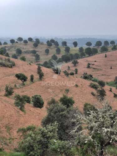 Terreno rustico - pulo do lobo -mértola