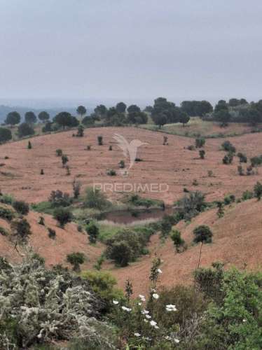 Terreno rustico - pulo do lobo -mértola