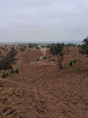 Terreno rustico - pulo do lobo -mértola