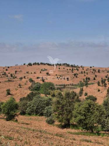 Terreno rustico - pulo do lobo -mértola
