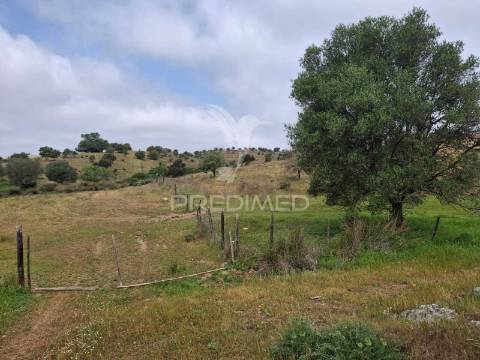 Terreno rustico - pulo do lobo -mértola