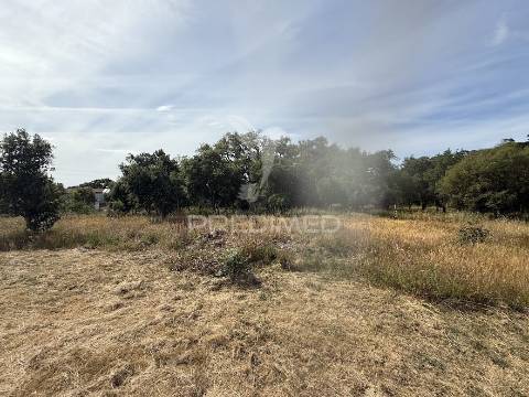 Refúgio exclusivo: propriedade de 4 hectares com moradia de conforto. próxima do mar.