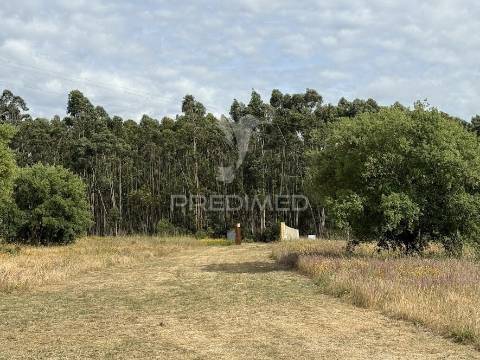 Refúgio exclusivo: propriedade de 4 hectares com moradia de conforto. próxima do mar.
