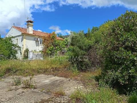 Moradia t4 ribeira de nisa