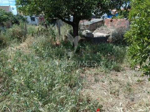 Moradia terrea c/quintal
