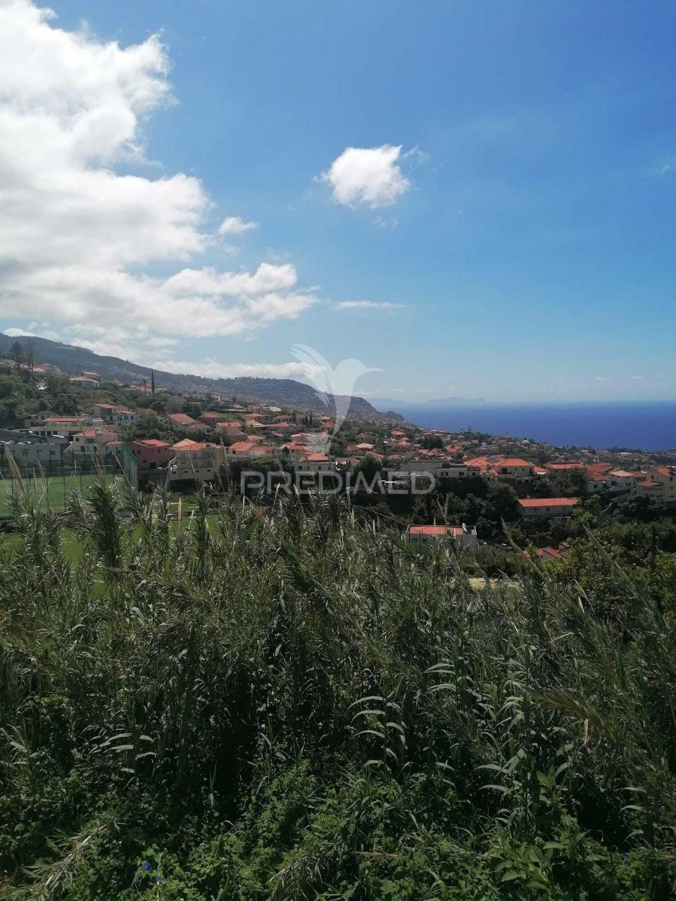 Quinta histórica vista funchal