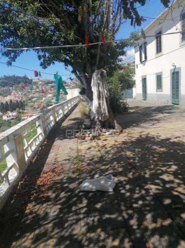 Quinta histórica vista funchal