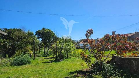 Quintinha com 2.724m² + casa t3 + ruína | potencial de investimento