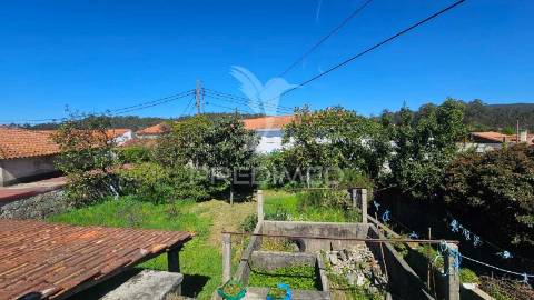 Quintinha com 2.724m² + casa t3 + ruína | potencial de investimento