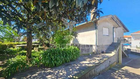 Quintinha com 2.724m² + casa t3 + ruína | potencial de investimento