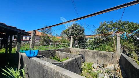 Quintinha com 2.724m² + casa t3 + ruína | potencial de investimento
