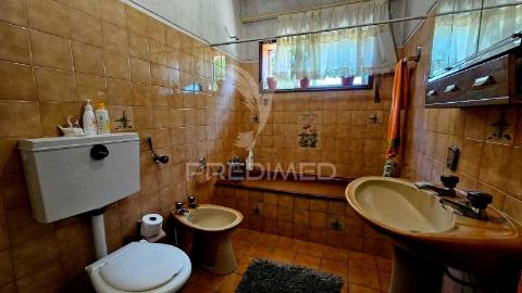 Quintinha com 2.724m² + casa t3 + ruína | potencial de investimento