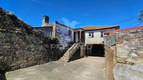 Quintinha com 2.724m² + casa t3 + ruína | potencial de investimento