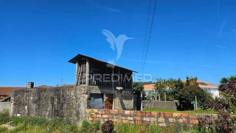 Quintinha com 2.724m² + casa t3 + ruína | potencial de investimento