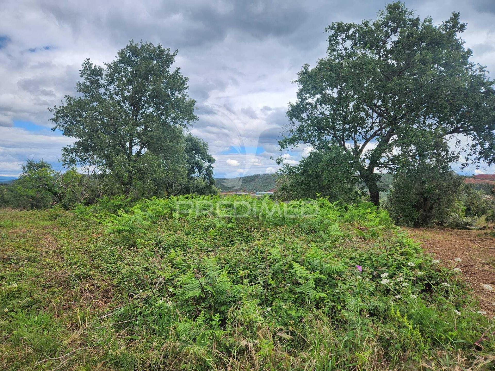 Terreno rustico