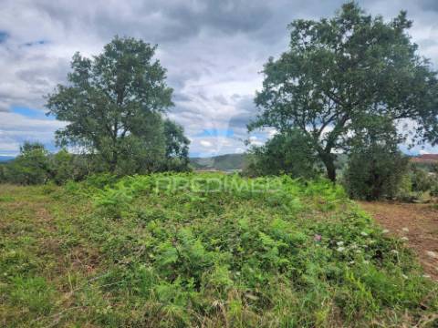 Terreno rustico