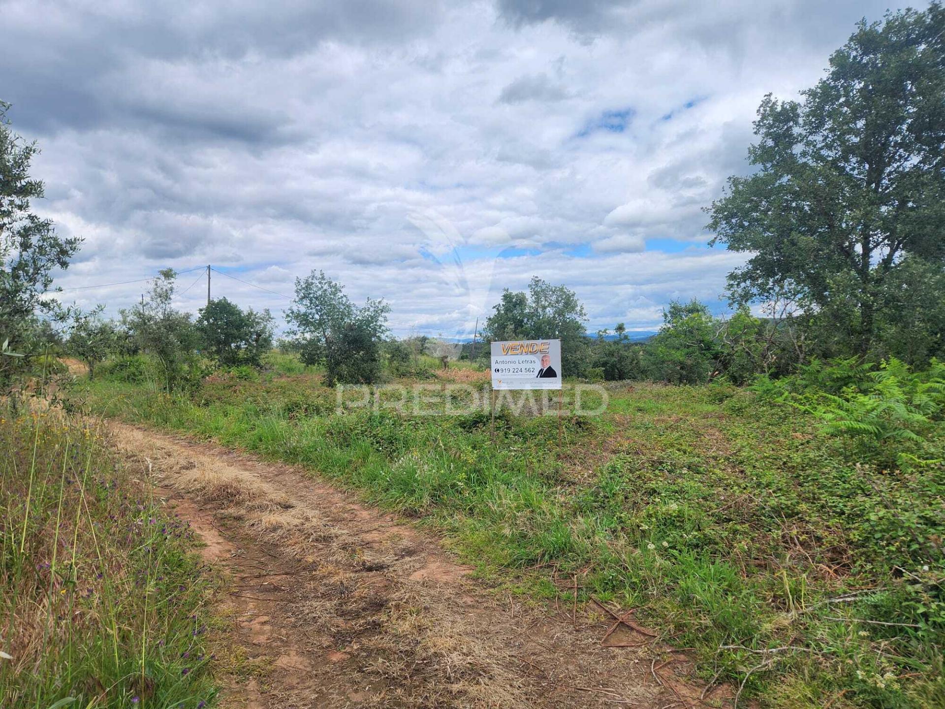 Terreno rustico