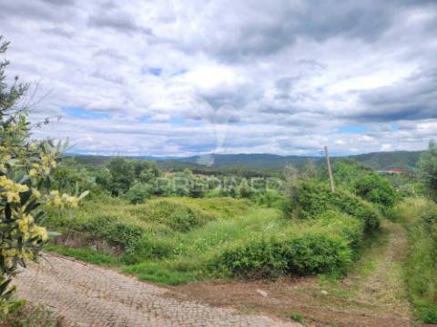 Terreno rustico