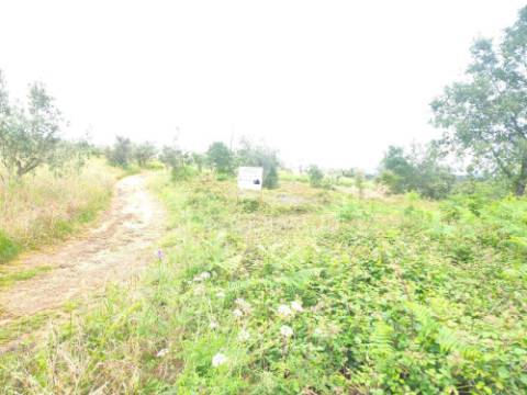 Terreno rustico