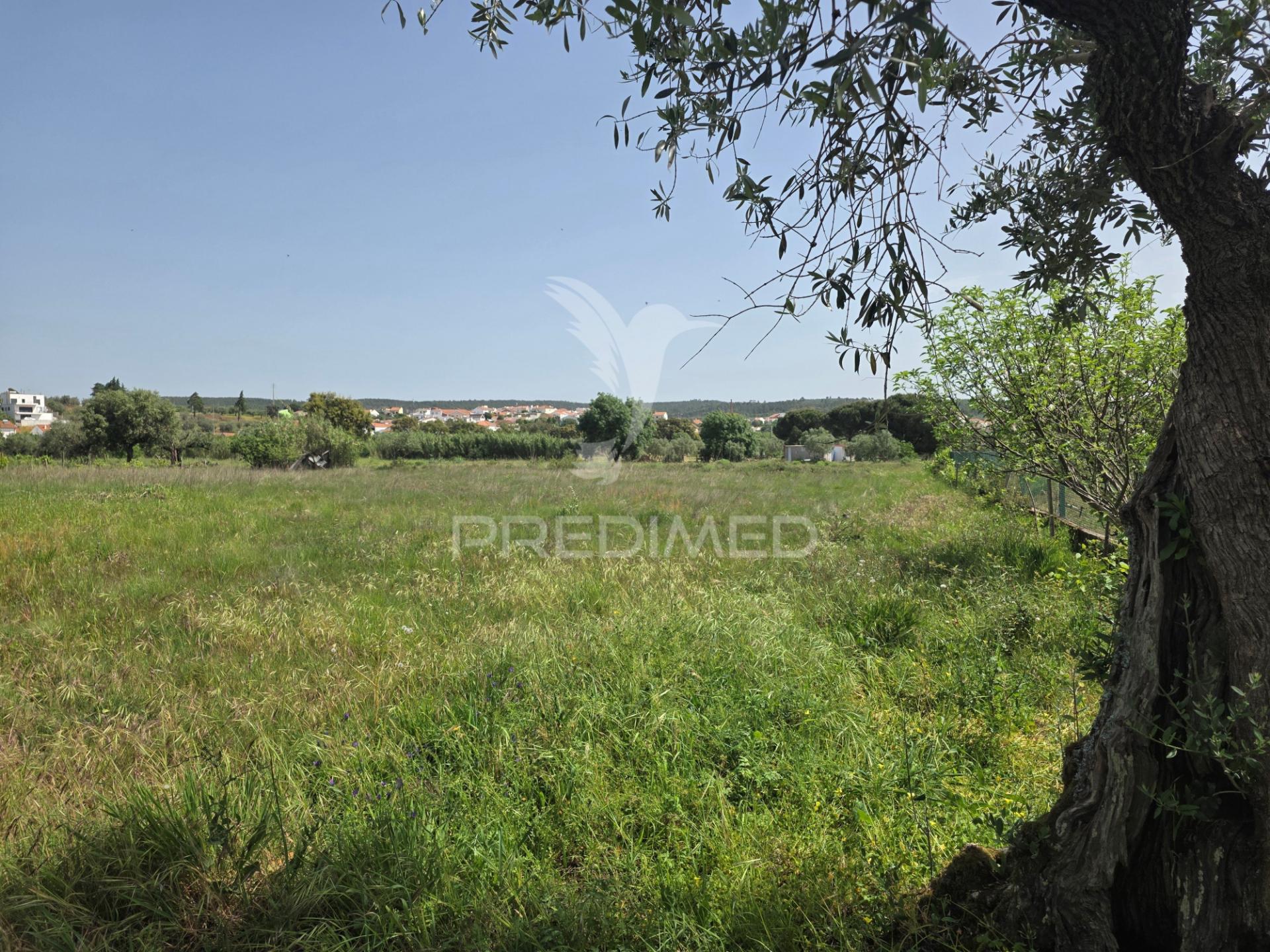 Lote de terreno urbano