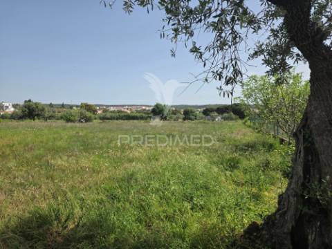 Lote de terreno urbano