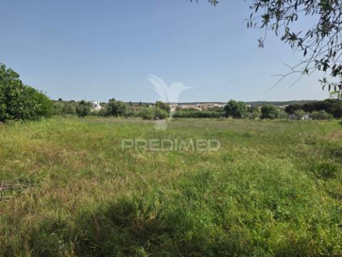 Lote de terreno urbano