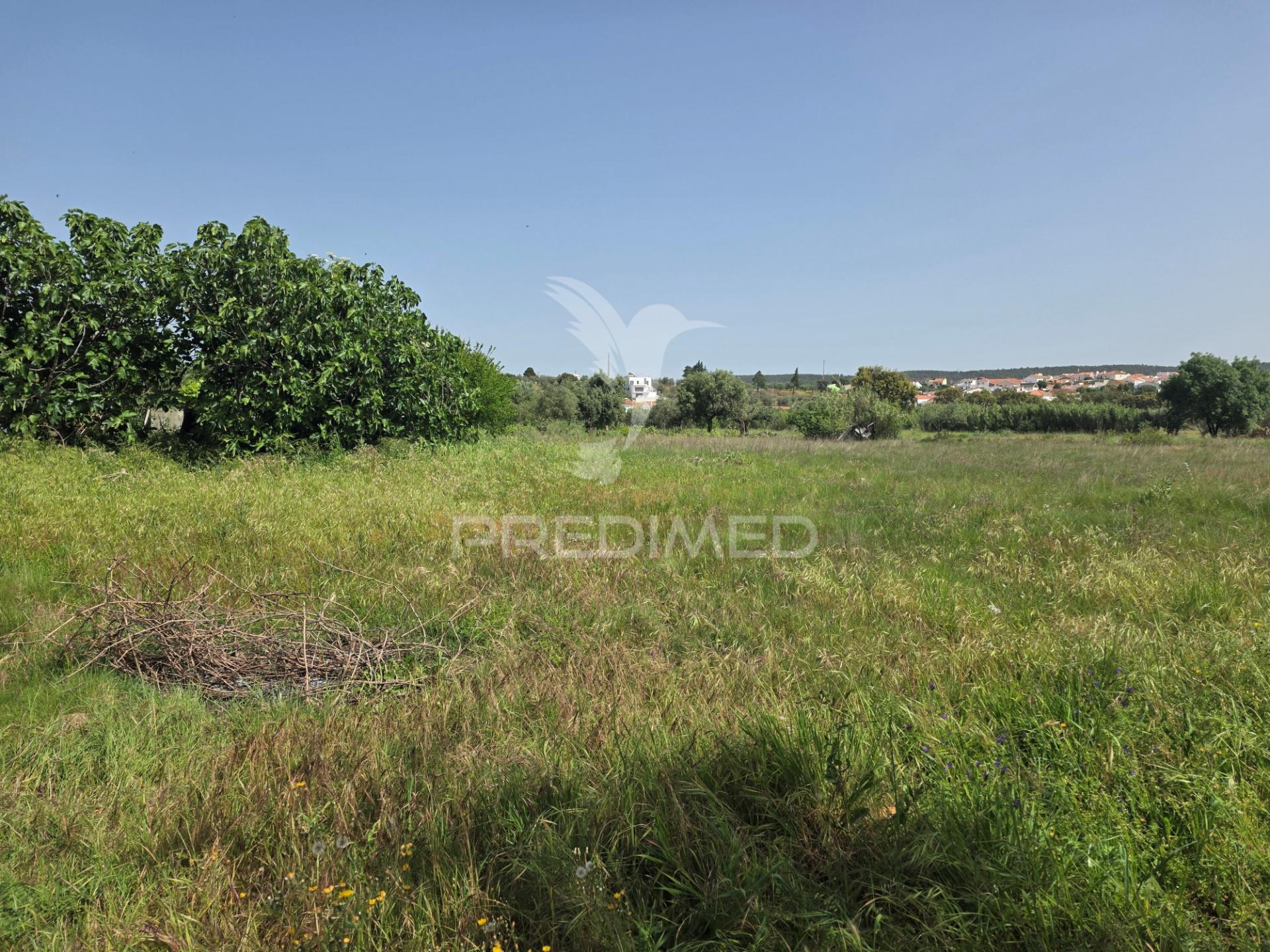 Lote de terreno urbano