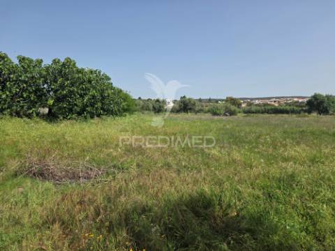 Lote de terreno urbano