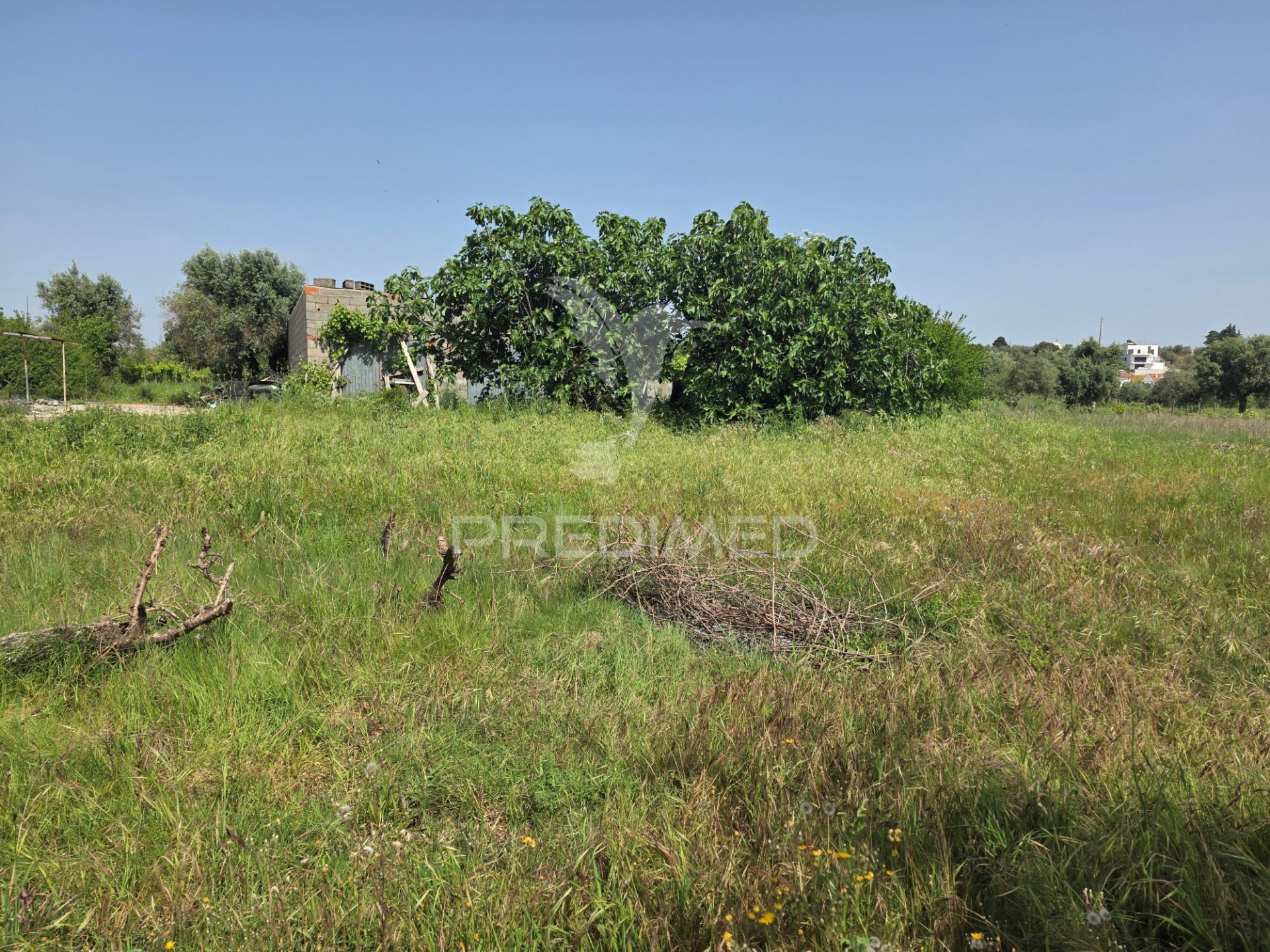 Lote de terreno urbano