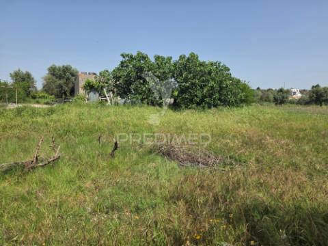 Lote de terreno urbano