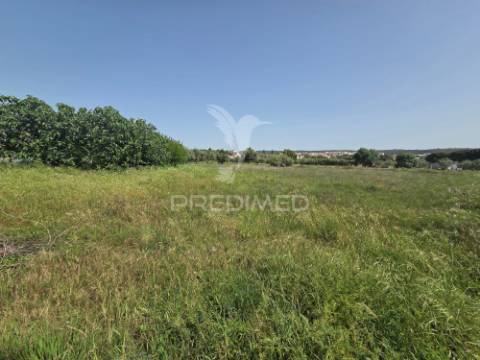Lote de terreno urbano