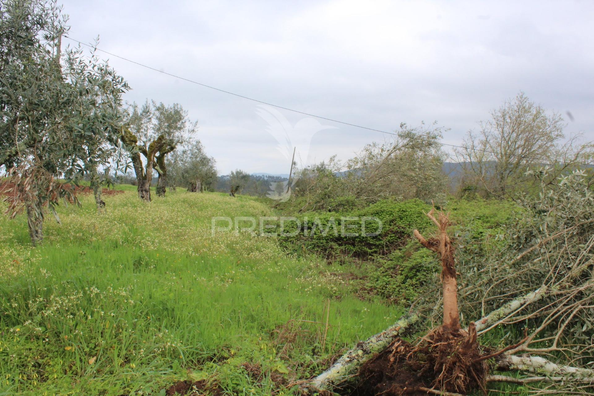 Terreno para construção