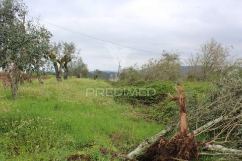 Terreno para construção