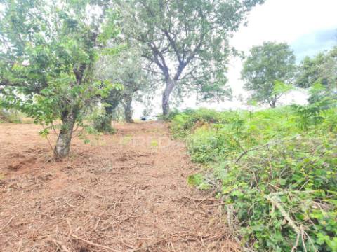 Terreno para construção