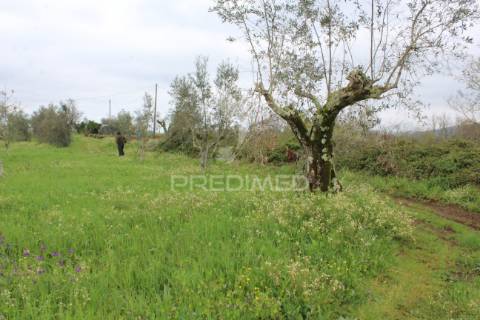 Terreno rustico
