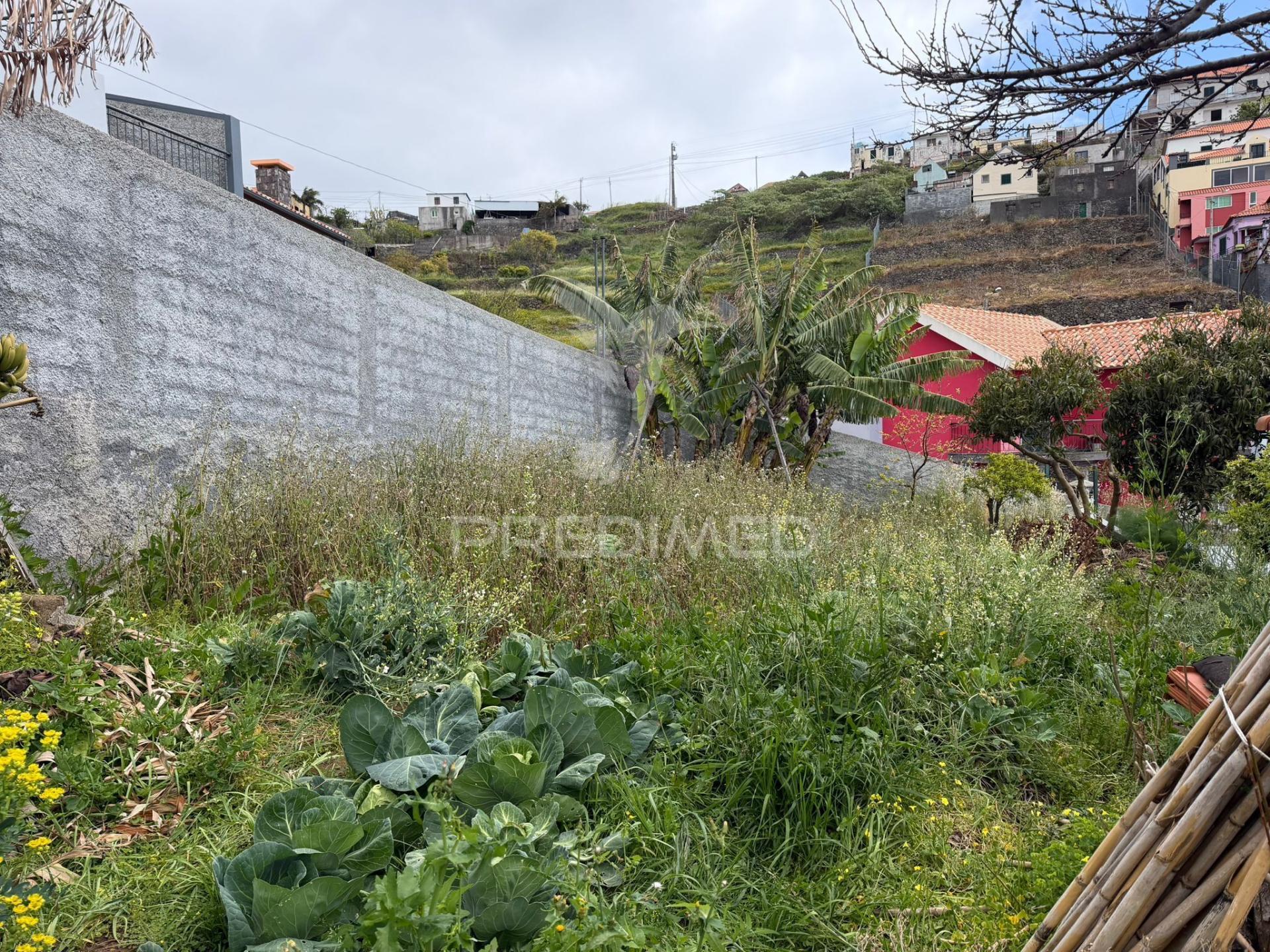 Casa térrea com terreno agrícola