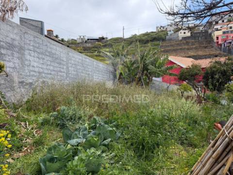 Casa térrea com terreno agrícola