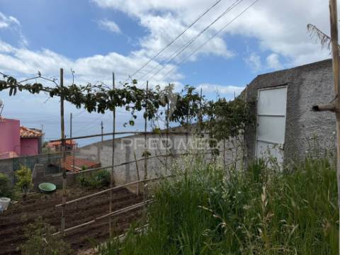Casa térrea com terreno agrícola