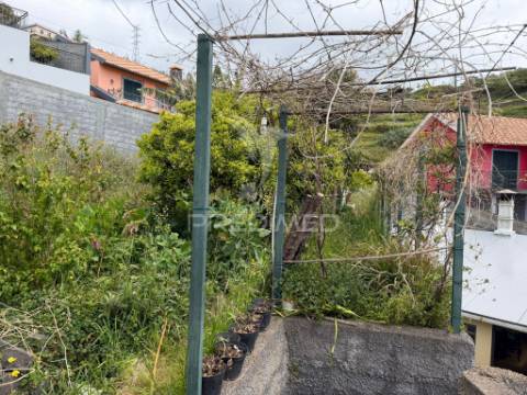 Casa térrea com terreno agrícola