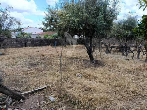 Terreno urbano