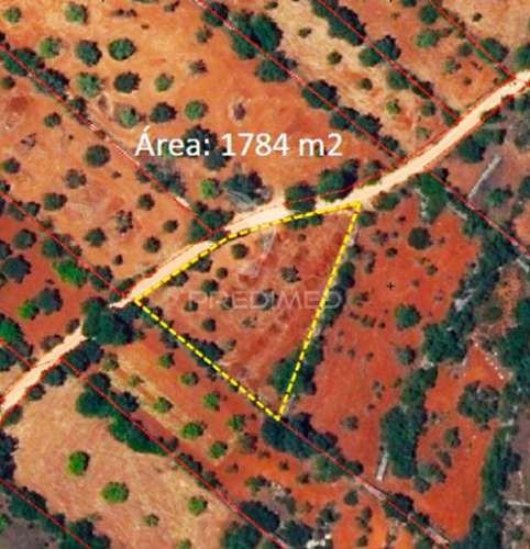 Terreno rustico em loulé com acesso directo
