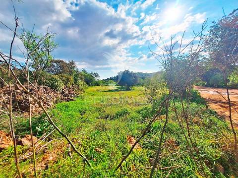 Terreno rustico em loulé com acesso directo