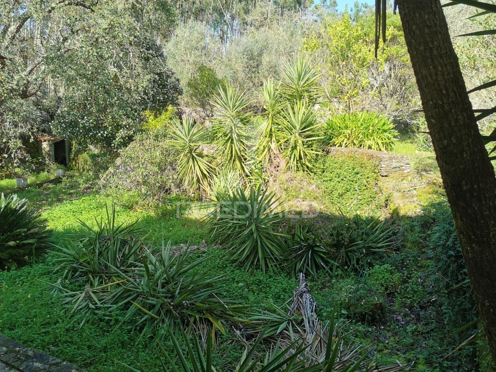 Terreno