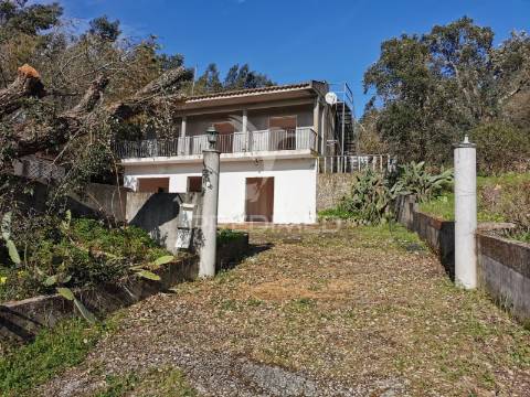 Terreno