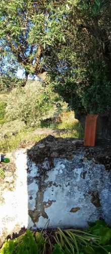 Casa de campo - freguesia de urra - portalegre