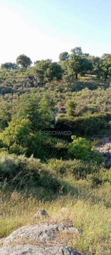Casa de campo - freguesia de urra - portalegre