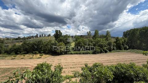 Terreno rustico