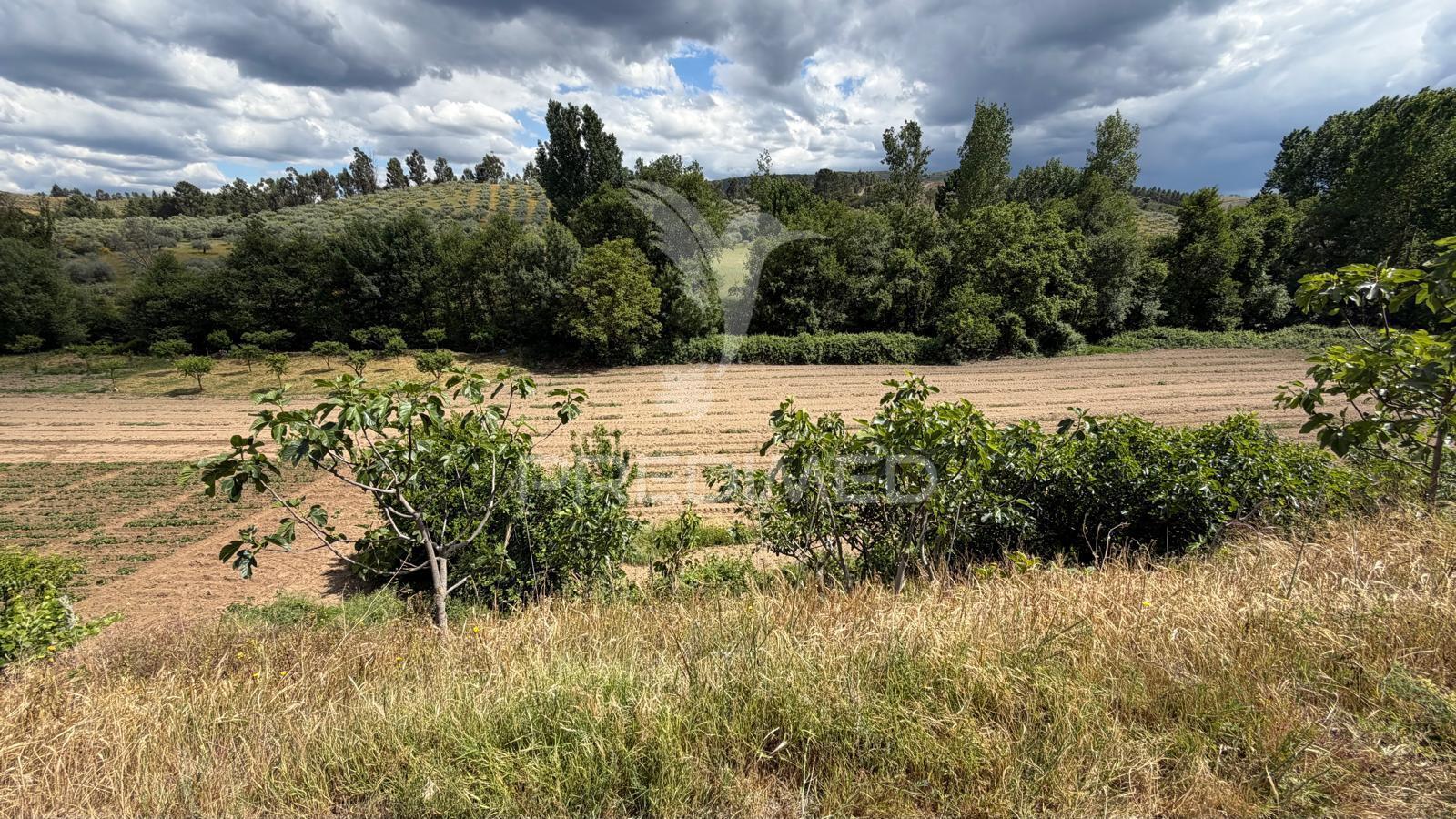 Terreno rustico