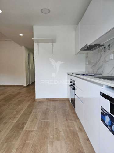 Apartamento benfica com espetacular  terraço